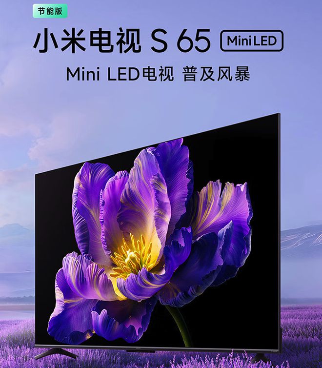 D电视的区别内行人道出实情选择一目了然j9九游会登录MiniLED电视和LE(图5)